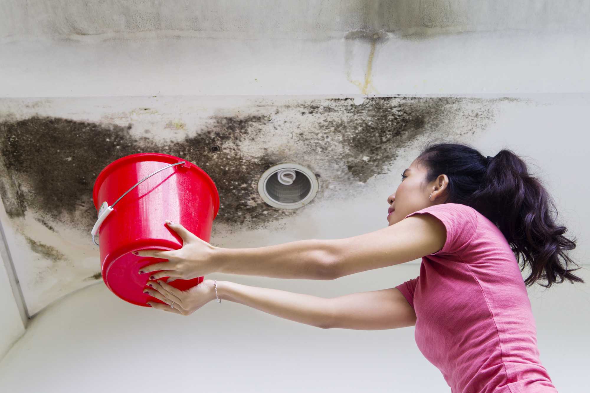 4 Common Causes of Roof Leaks in Commercial Buildings