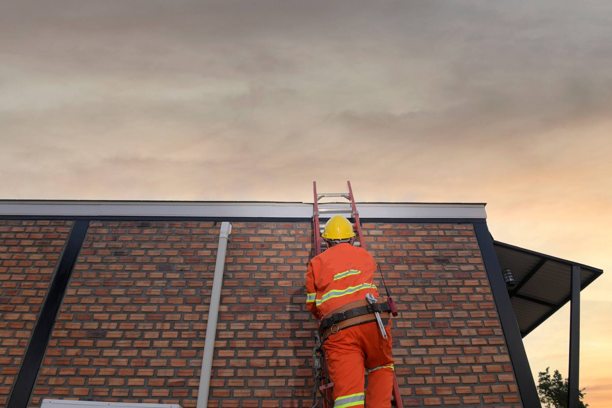 Fall Roof Inspections: 8 Signs You Need a Check Up