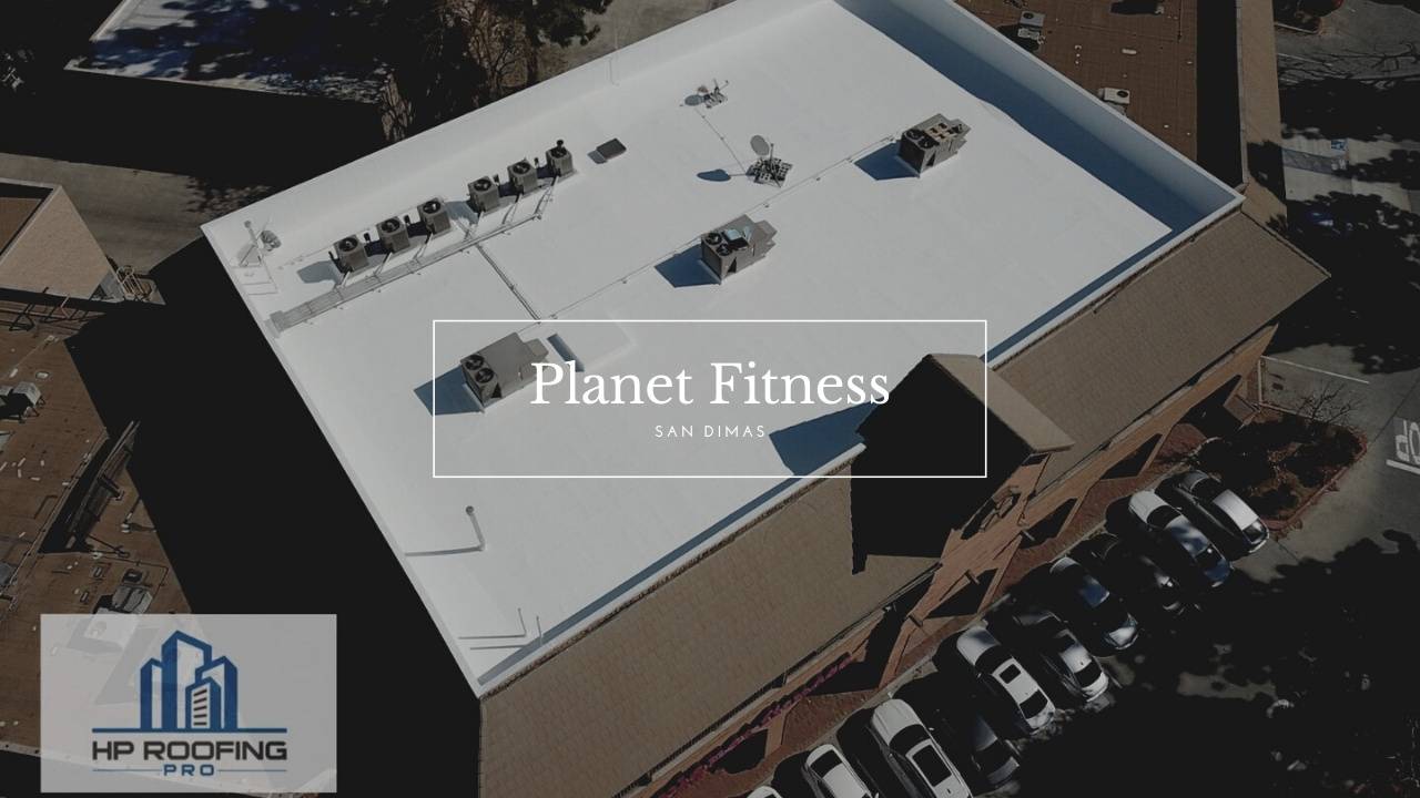 Planet Fitness - Dan Dimas